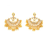 'Amika' Dazzlers